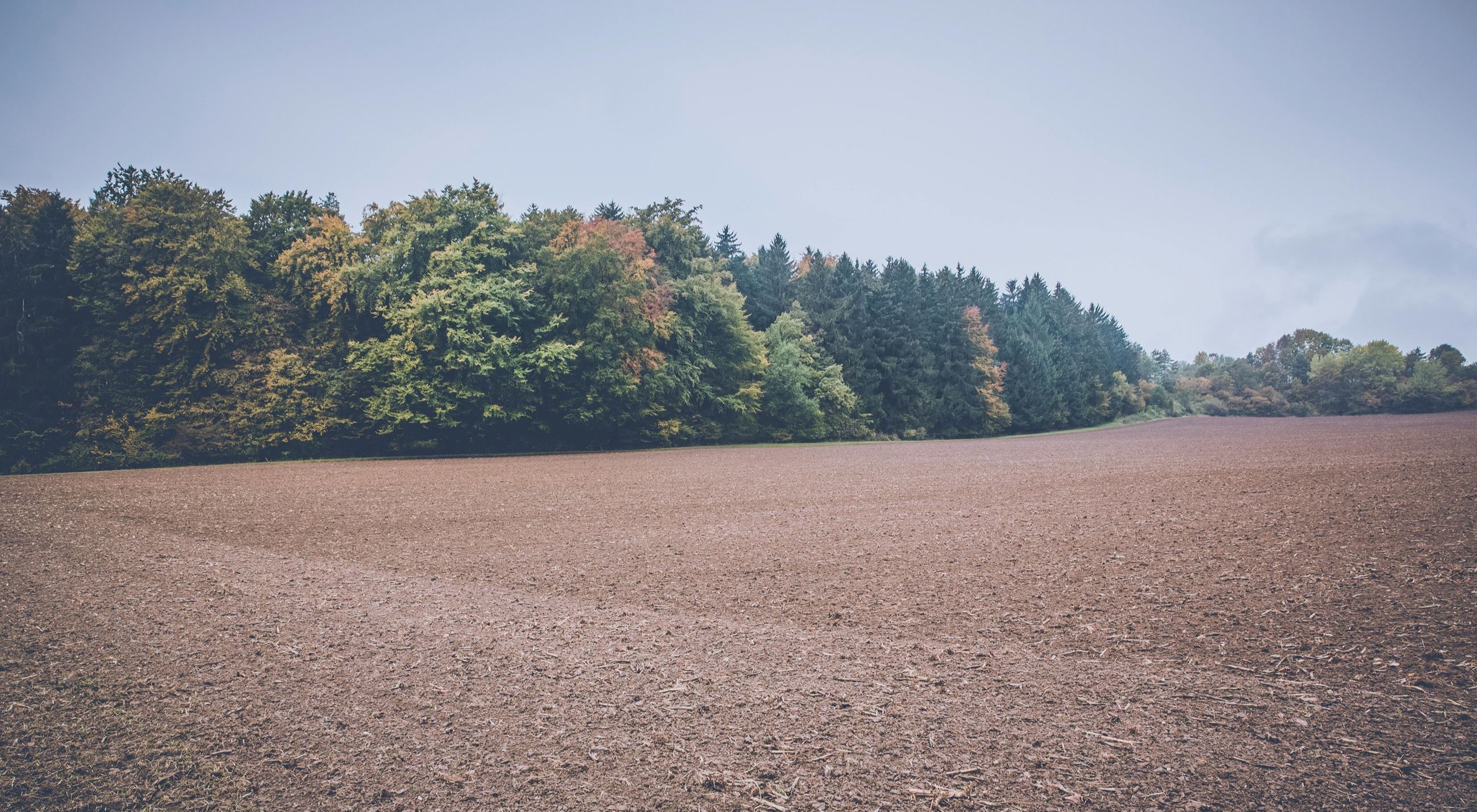 An expanse of soil with trees in the background.