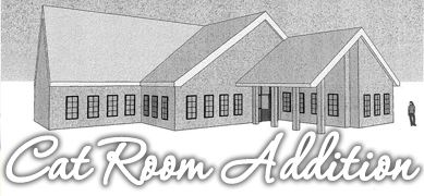 Cat Room Planned
