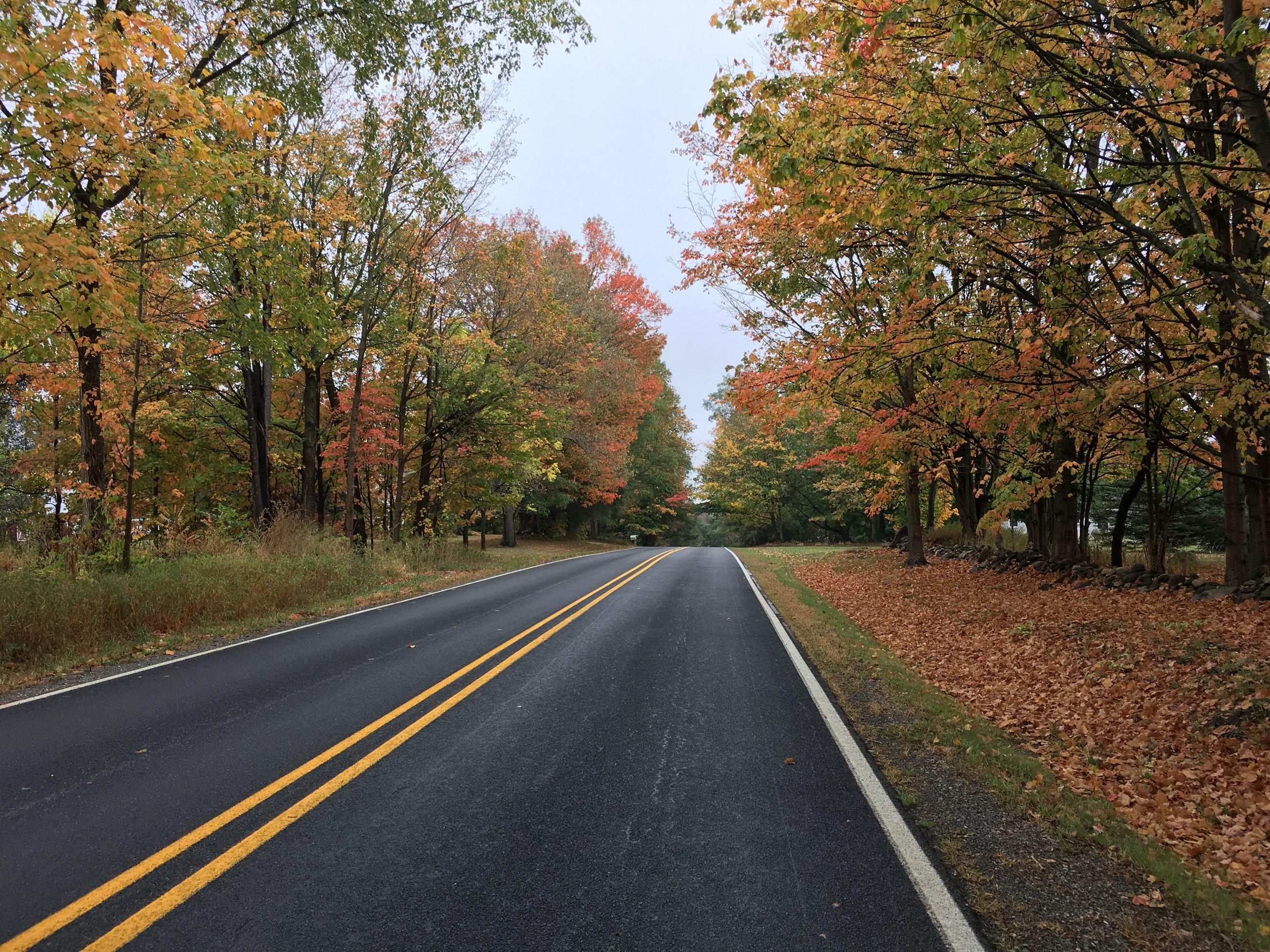 Fall Road