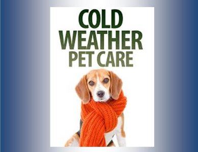 Cold Weather Pet Care