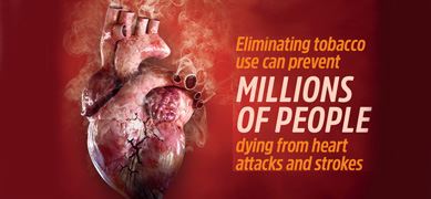 World No  Tobacco Day