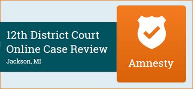 12th District Court - Online Amnesty Program